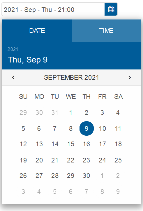 Formatted DateTime Picker