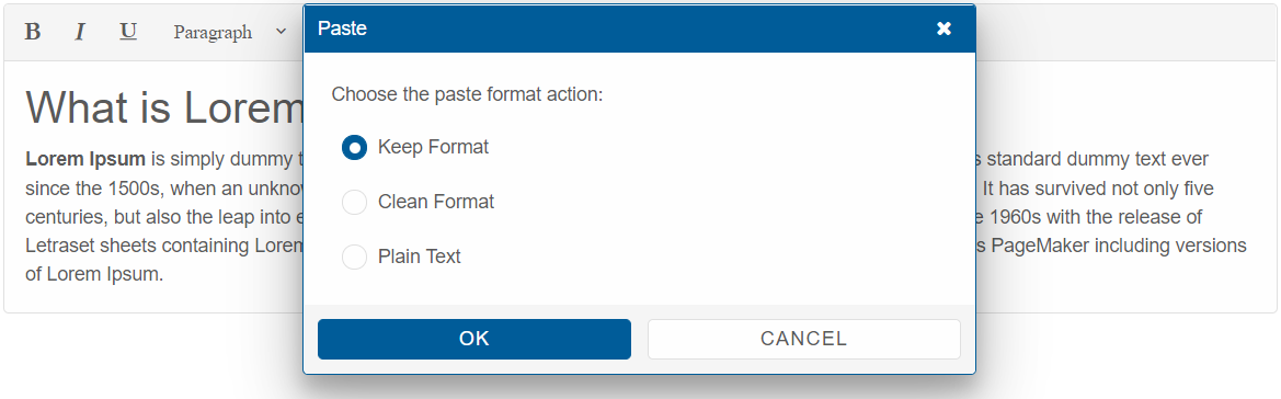 Editor Paste Format Dialog