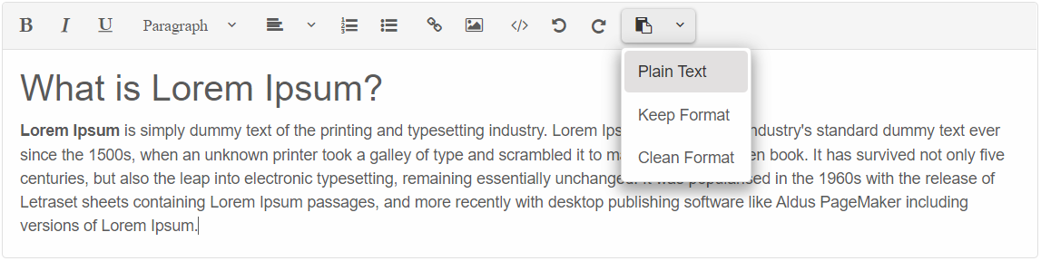 Editor Paste Format