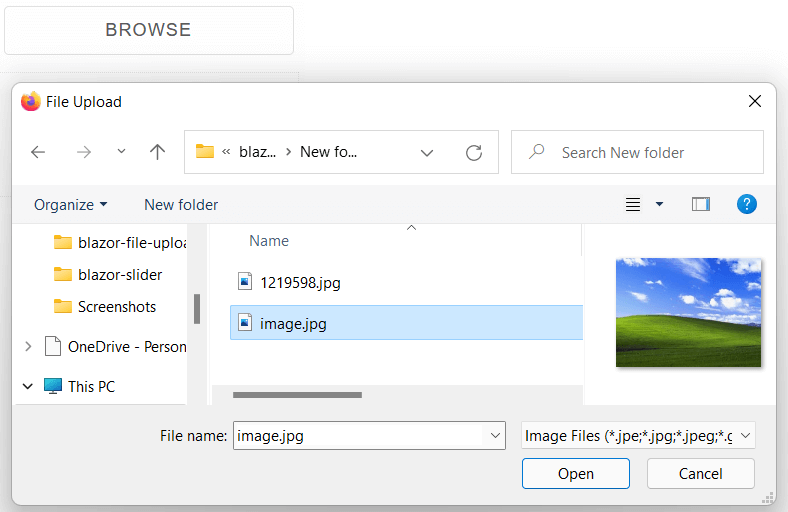 File upload directory
