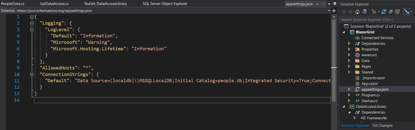 JSON appsettings