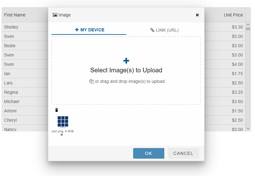 grid image dialog editor