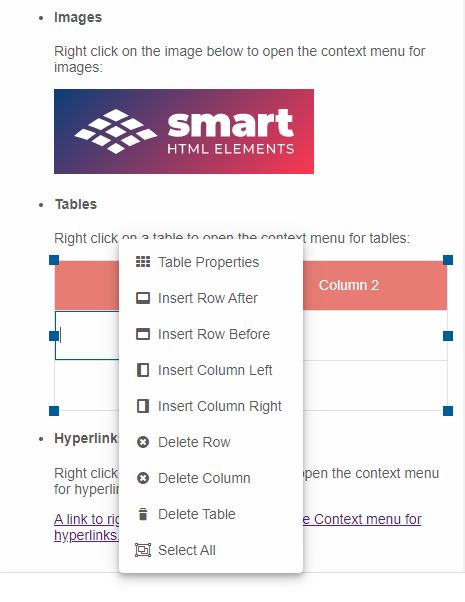 Editor Context Menu