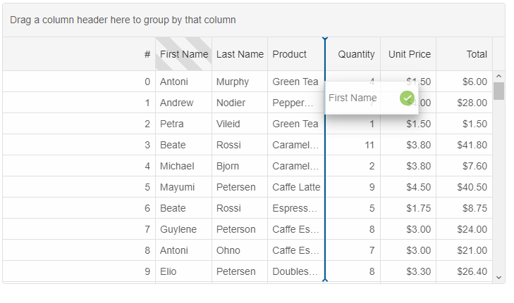 datagrid grouping panel