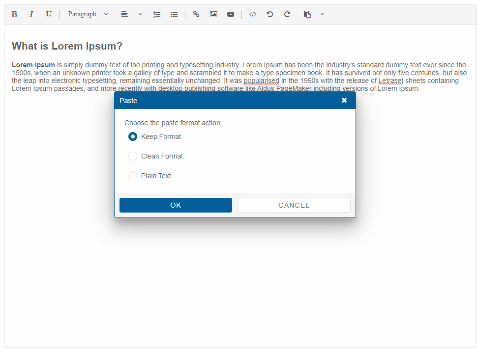 Paste Options in React Editor