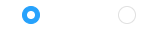 RadioButton Custom Element 1